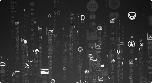 Advanced Customizable API Data Services